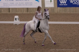 Lusitano Breed Society of Great Britain Show - Hartpury College - 27th June 2009